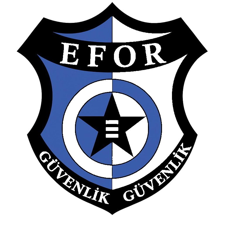 EFOR Logo